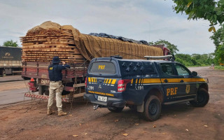 Carga foi apreendida pela PRF no município de Palmeiras Do Tocantins.