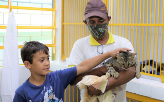 Centro de castração já realizou 50 cirurgias gratuitas.