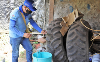 Agentes do CCZ percorrem regularmente as residências e terrenos à procura de larvas do Aedes aegypti.