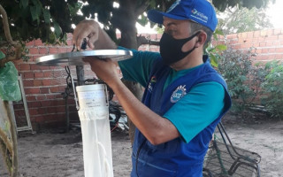 Objetivo da pesquisa é verificar o período do ano de maior densidade do vetor nos bairros de Araguaína.