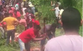 Multidão de pessoas se aglomerou no local para levar partes dos animais