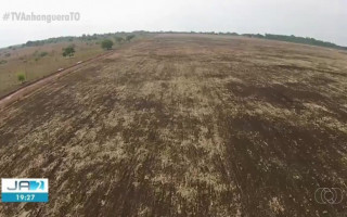 Área desmatada no Tocantins em 2019 