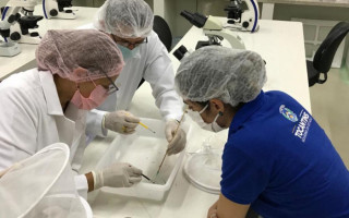 O trabalho está sendo executado em parceria com o Centro de Controle de Zoonoses de Araguaína (CCZ).