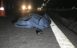 Motociclista não resistiu aos ferimentos e morreu no local