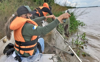 Fiscalização foi realizada em rios dos municípios de Couto de Magalhães, Juarina, Bernardo Sayão, Arapoema e Pau Darco.