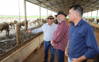 Governador conhece maior projeto de confinamento do TO, localizado no município de Marianópolis.