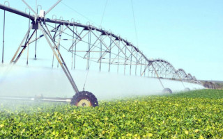 Decreto sobre andamento de projetos do Programa Tocantins PPI qualificou pré-projeto sobre Perímetros Agrícolas Irrigados.
