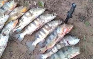 Homem usou as redes sociais para publicar vídeo pescando na Piracema