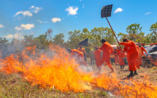 Formação de brigadistas para combate a incêndio deverá atender critérios da Defesa Civil Estadual.
