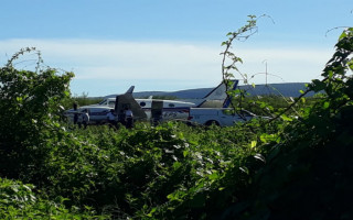 Avião bateu no animal após pousar no aeródromo de  Ibotirama.