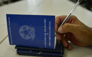 No acumulado do ano, o Tocantins apresentou o saldo de 16.891 contratações, entre os meses de janeiro e novembro de 2022.