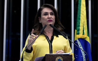 Senadora Kátia Abreu (PP-TO).