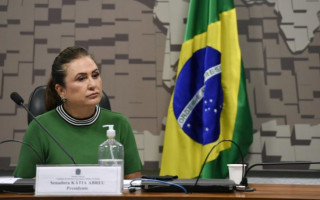 Senadora Kátia Abreu (PP-TO).