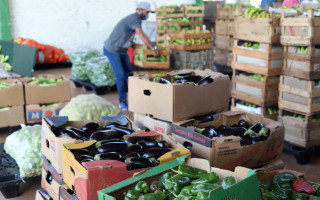 Todos os anos, a Prefeitura busca destinar pelo menos 30% do orçamento da merenda aos pequenos produtores da região.