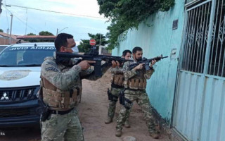 Operação da PC-TO desvenda furto de gado ocorrido durante a semana santa em Taguatinga.