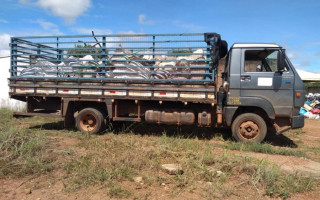 Caminhão carrega a primeira tonelada de rede de pesca para reciclagem