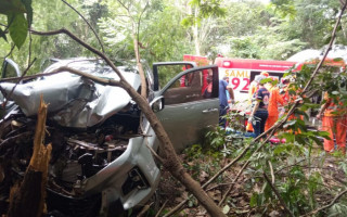 Veículo ficou destruído após sair da pista e colidir em uma árvore.