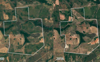 Imagens da área vegetada da fazenda Bom Jardim em 2008 e após o desmatamento, em 2016.