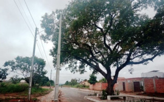 Energisa decidiu instalar um novo poste ao lado do pé de pequi.