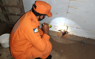 Cabeça do animal estava presa em um pequeno buraco do portão. 