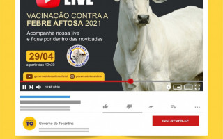Live de lançamento será realizada nesta quinta-feira, 29, às 10h30.
