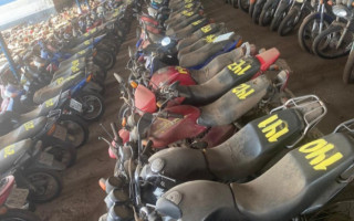 Serão ofertados 620 lotes, envolvendo carros e motos, todos para circulação.