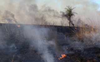 A Prefeitura iniciará um mutirão de gradeamento em pontos que têm incêndios todos os anos
