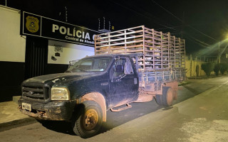 Gado foi recuperado e levado à Delegacia de Plantão, em Araguaína.