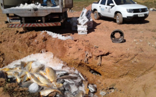 Pescado considerado impróprio para o consumo foi descartado.