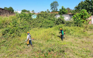 O proprietário ainda pode retirar mato alto, entulho, galhada e lixo doméstico 
