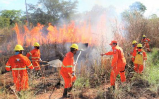 Os profissionais tiveram aulas práticas e teóricas de combate a incêndios na zona urbana e rural.