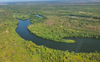 Banhado pelos rios Araguaia, Javaés e do Côco, Parque do Cantão tem mais de 800 lagos e une biomas Cerrado, Floresta Amazônica e Pantanal. 