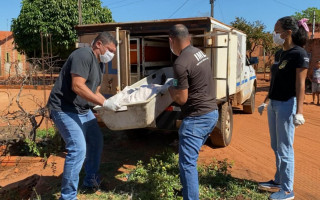 Homem foi assassinado no setor Monte Sinai.