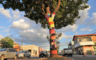 Quem passa pela Avenida Prefeito João do Sousa Lima, no Centro, logo percebe uma árvore de ipê com o tronco decorado.