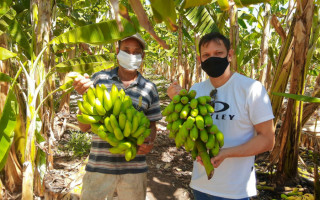 O produtor Milton Albuquerque colhe em torno de 5 toneladas por mês