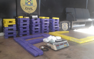 Denarc apreendeu cerca de 100 kg de maconha e 1 kg de cocaína. 