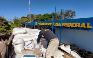 Policiais encontraram agrotóxicos sendo transportados junto com carga de arroz.