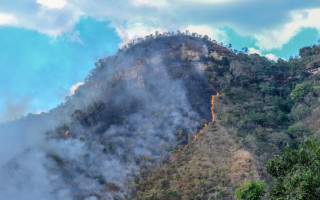 Fogo atinge encostas da Serra do Lajeado, em Palmas, e equipes voltam a fazer combates.