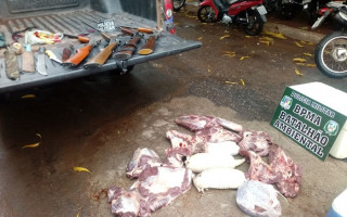 Armas e animais abatidos foram encontrados no interior de um Vectra.