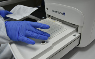LACEN/TO ampliou em mais de 19.000% a sua capacidade analítica 