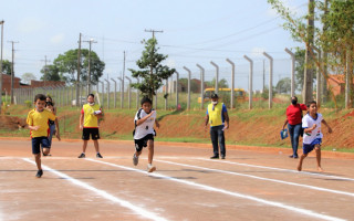 As atividades foram subdivididas entre feminino e masculino, e idades com o sub-8 (6 a 8 anos) e sub-12 (8 aos 12 anos).