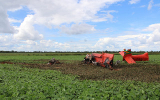 Acidente ocorreu numa fazenda em Lagoa da Confusão 