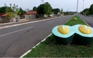 Crime ocorreu na cidade de Pequizeiro.