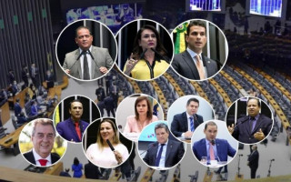 Dos onze parlamentares da bancada tocantinense, apenas um votou contra. 