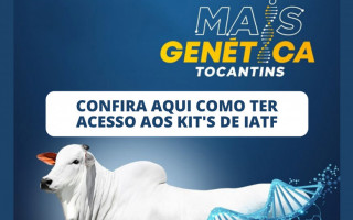 Programa Mais Genética Tocantins está disponibilizando 130 mil kits para Inseminação Artificial