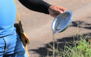 Número de focos do mosquito Aedes aegypti por casa em Araguaína alcançou uma marca de 8%.