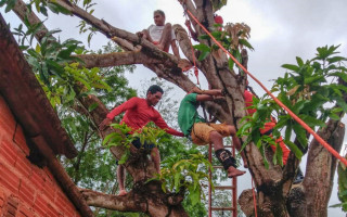 Bombeiros militares resgatam vítima com fratura exposta em cima de árvore. 