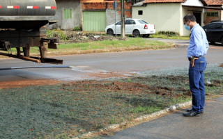 Plantio ocorreu no canteiro central da Avenida dos Administradores