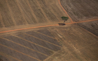 Desmatamento envolve 31 fazendas localizadas em quatro cidades.