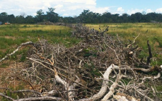 Operação conjunta contra o desmatamento ilegal aconteceu nos municípios de Santa Rosa, Silvanópolis e Ipueiras